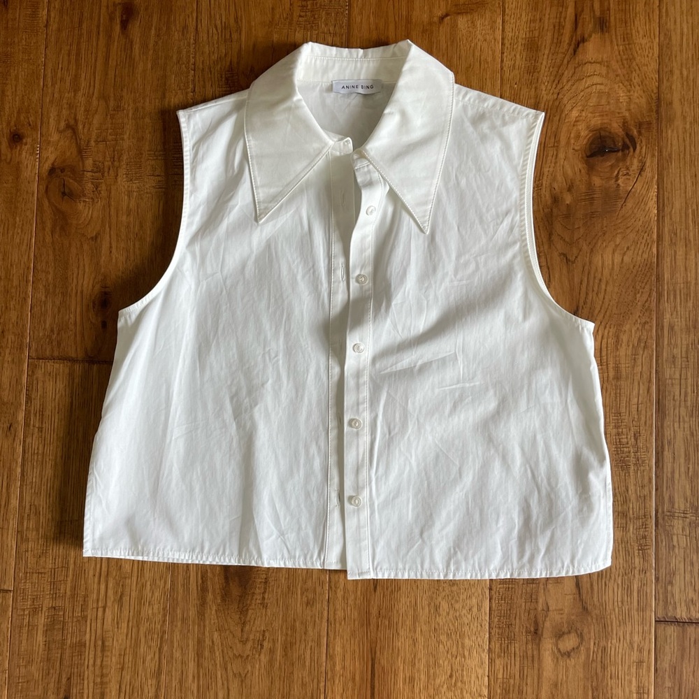 Celia Shirt Anine Bing Firm on Price